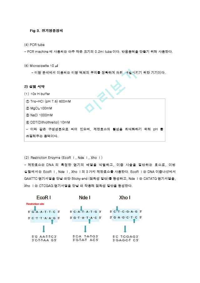 제한효소를 이용한 Restriction of DNA 결과레포트 [A＋].hwp